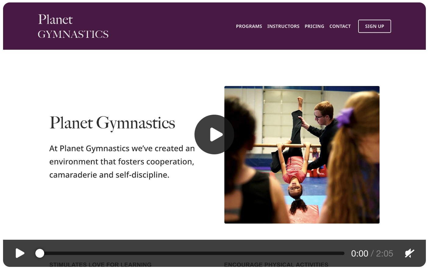 Site inventory for Planet Gymnastics